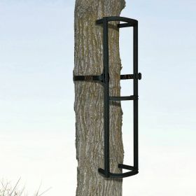STAGGER-STEP 3-PACK CLIMBING STEPS